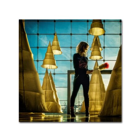 Trademark Fine Art Ambra 'Dusted' Canvas Art, 24x24 1X02840-C2424GG